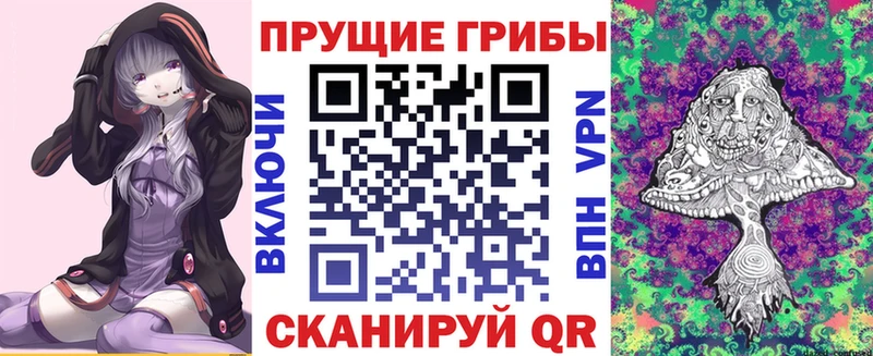 Псилоцибиновые грибы Cubensis  кракен ССЫЛКА  Болохово  даркнет состав  где купить наркоту 
